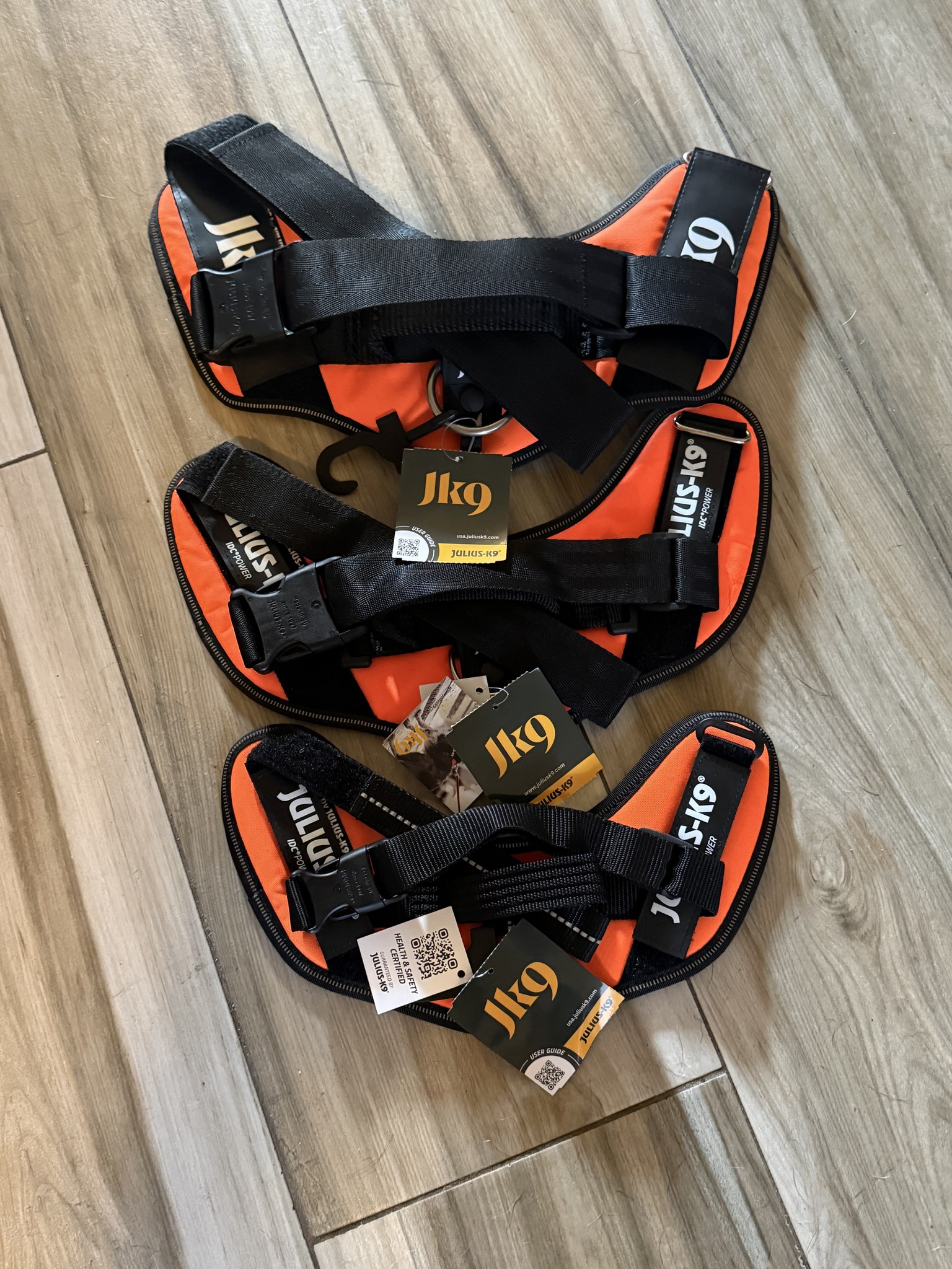Detail of the Julius-K9 IDC Powerharness chest strap and reflective edge