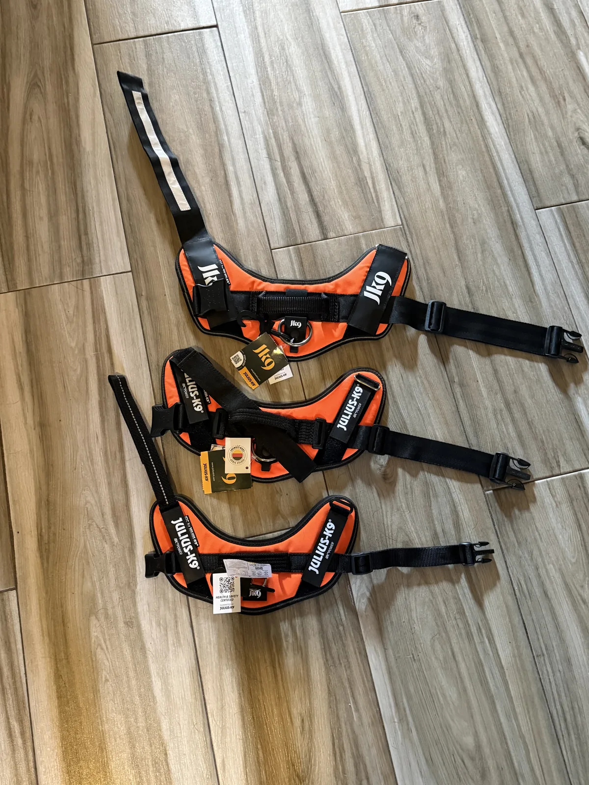 Small, medium, and large Julius-K9 IDC Powerharnesses laid out in a row, the sizes we carry on the truck